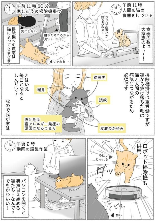 パソコンを開くと突然甘え始める猫たち…