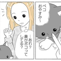 目から出血!?ある日、愛猫の明らかな異変に気が付いて…
