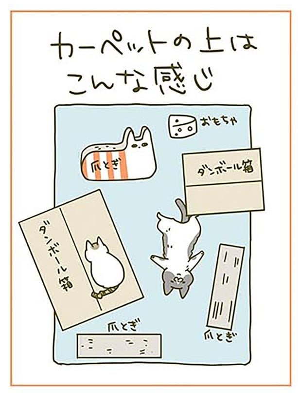こんな感じ