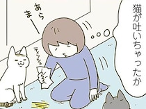 猫が吐いちゃったのかな。買ったばかりのカーペットの異変