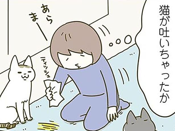 猫が吐いちゃったのかな。買ったばかりのカーペットの異変