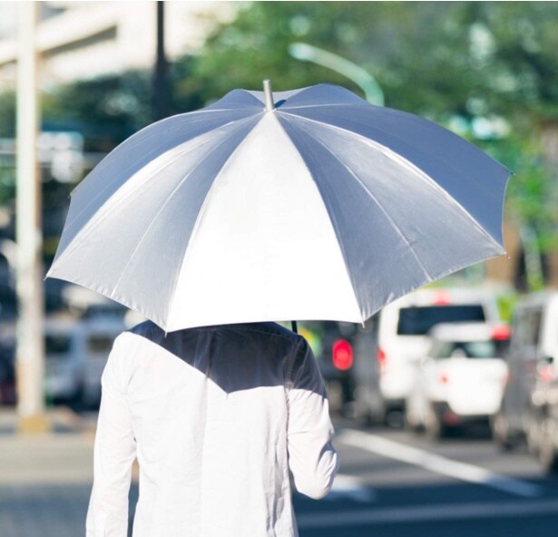 スクリーンショット 2025-08-29 004302