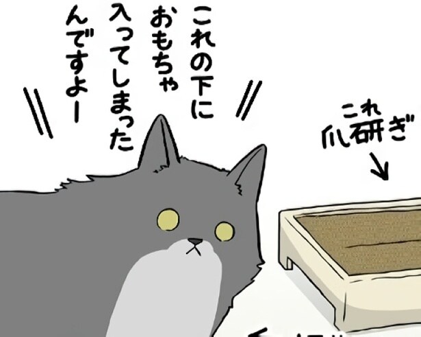 猫は表情豊かで、こういうとき本当に困った顔をする