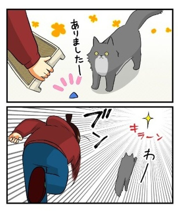 何度も同じ場所におもちゃが入り込んでしまうのはなぜ？このあと理由が判明する