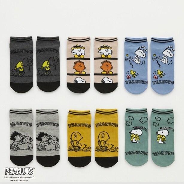 「レディース 6足組ソックス」(1100円)