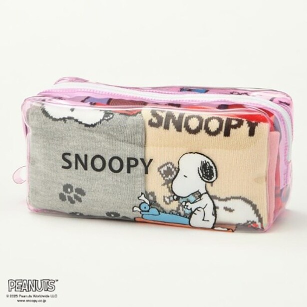 レディース 6足組フロントソックス