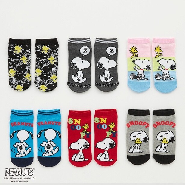 「レディース 6足組ソックス」(1100円)