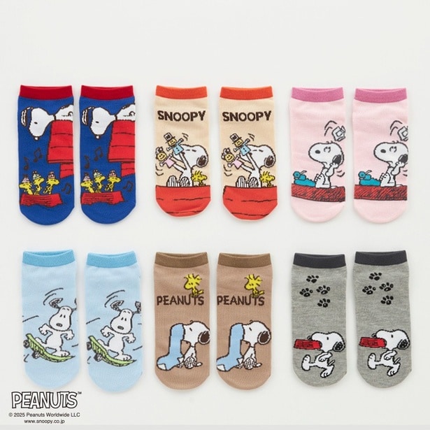 「レディース 6足組ソックス」(1100円)