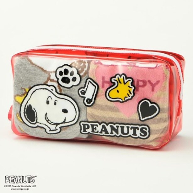 キッズ 6足組フロントソックス3