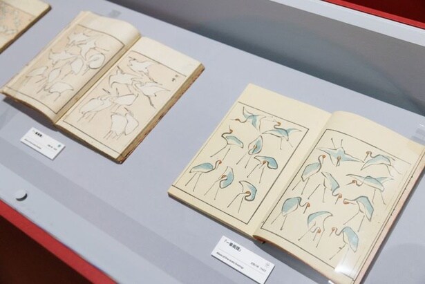 北斎は一筆描きの描法も用いていた。写真は『一筆画譜』