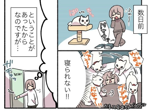 甘えんぼ猫の構ってアピールは想像以上!!さて、この日はどうなってしまうのか？