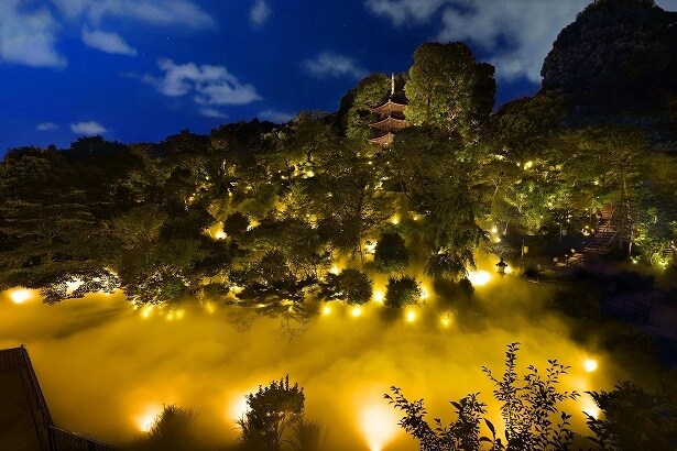 キンモクセイ色の「香る、東京雲海」