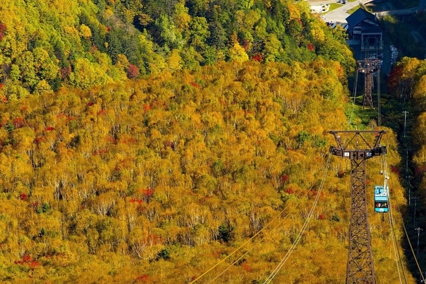 空中から色とりどりの山を眺められる／大雪山(黒岳)の紅葉