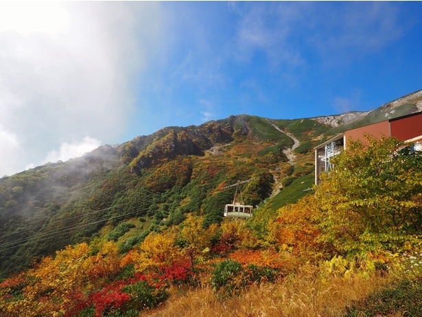 山肌を鮮やかな紅葉が彩る／千畳敷カール(中央アルプス駒ヶ岳ロープウェイ)の紅葉