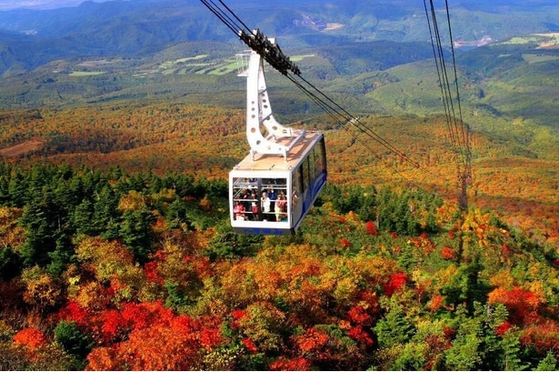 空の上から紅葉を楽しめる／八甲田連峰の紅葉