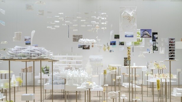 藤本さんの豊かな発想力が感じられる展示の数々。《思考の森》2025年