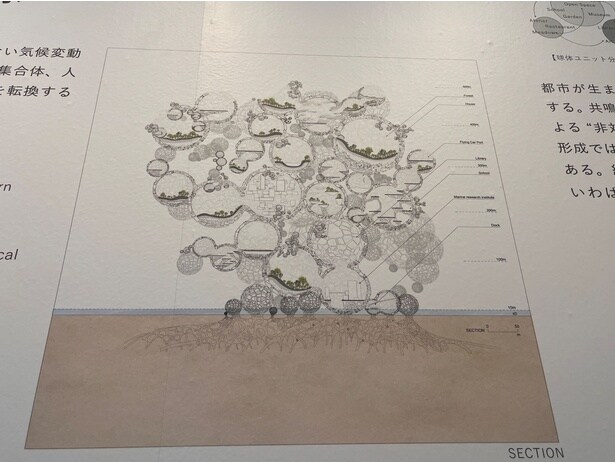 大小さまざまな大きさの球体状の構造物が組み合わさっている