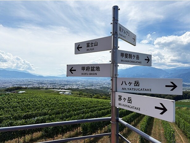 ワイナリーの一番高いところにある「眺望台」からの眺めは最高だ