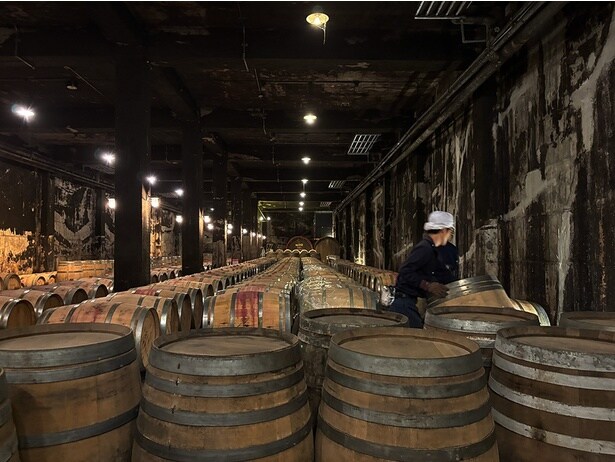 この日はちょうど、熟成庫の中にずらりと並んだ樽と樽の間で作業している様子を見学できた