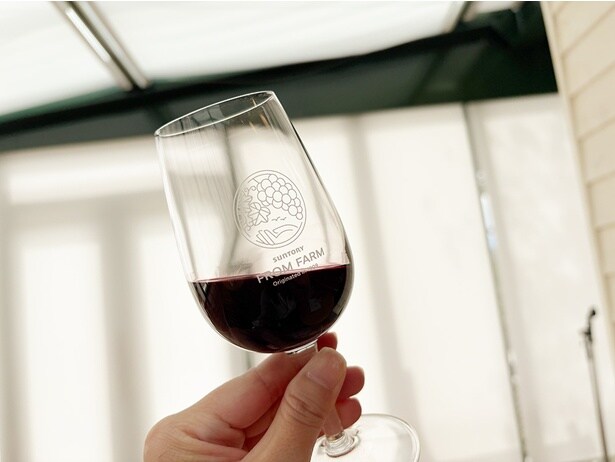 試飲できるワインは4種類