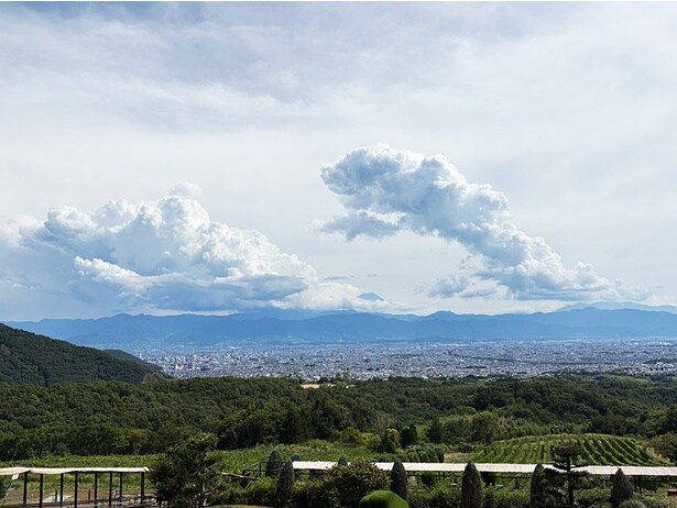 富士見テラスからの景色。写真中央、雲の合間に富士山が見える