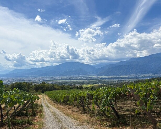 山梨県甲斐市「サントリー 登美の丘ワイナリー」のリニューアルしたワイナリー見学ツアーに参加してきた！