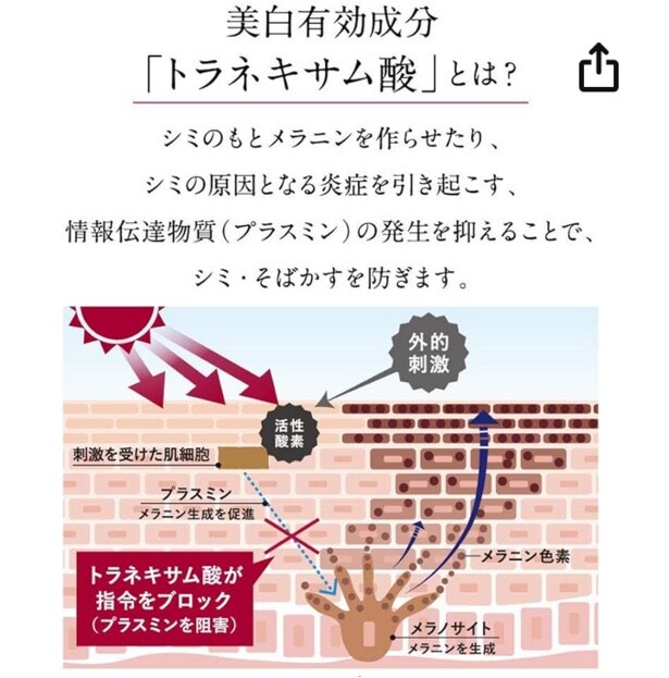 スクリーンショット 2025-09-04 015807