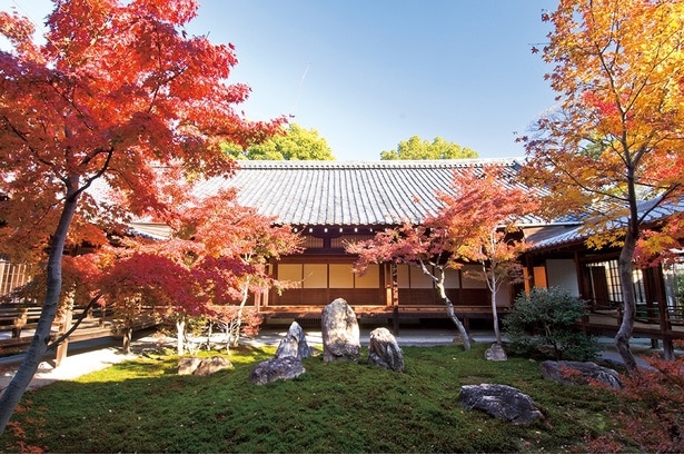 建仁寺／京都市東山区