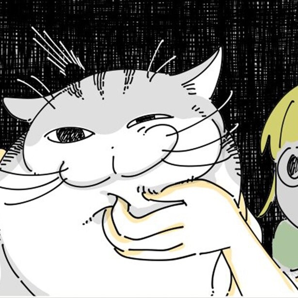 飼い主に顎をくすぐられる猫