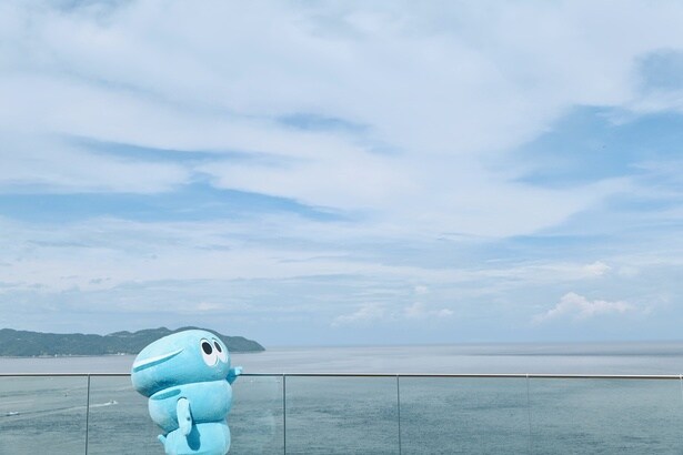 360度ぐるりと見渡せるパノラマビュー