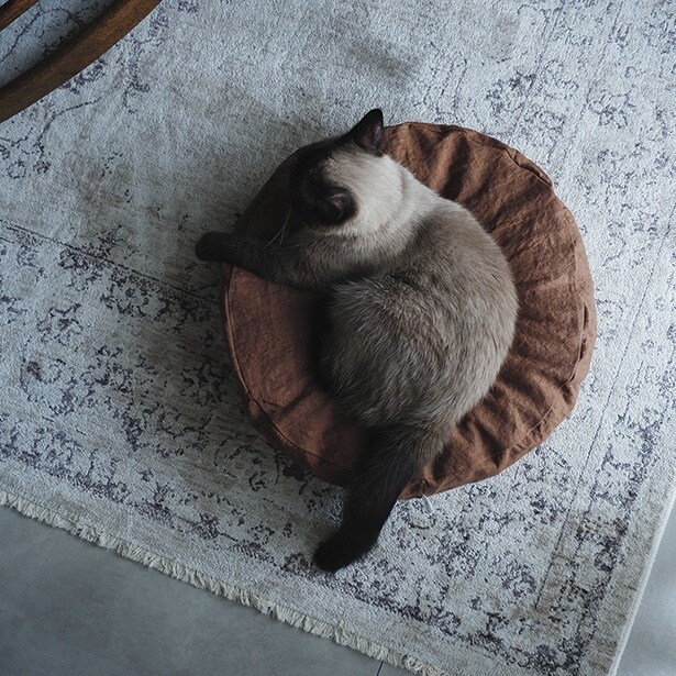 使用イメージ