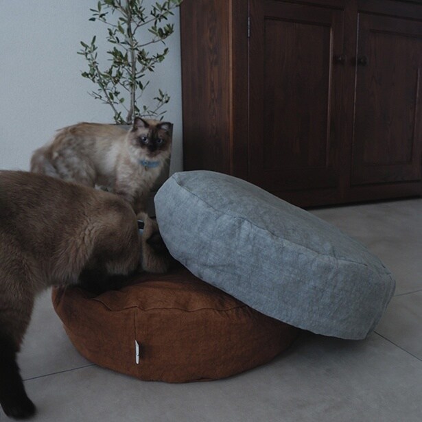 使用イメージ