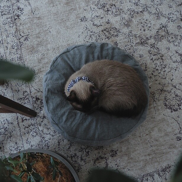 使用イメージ