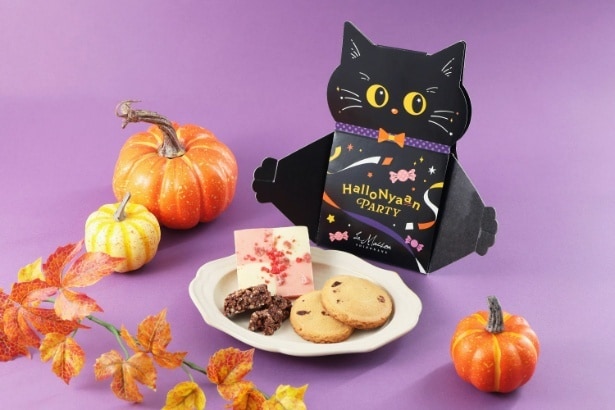 【写真】黒猫のパッケージが印象的な遊び心あふれる限定ボックス