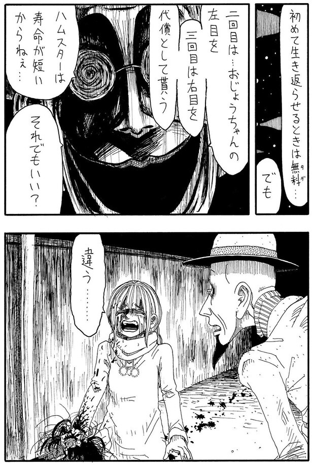 「大好きなハムスター」D