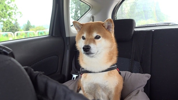 車に乗って、まずは実家へ向かう