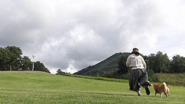 芝生の上を走るのが大好きなはちくん