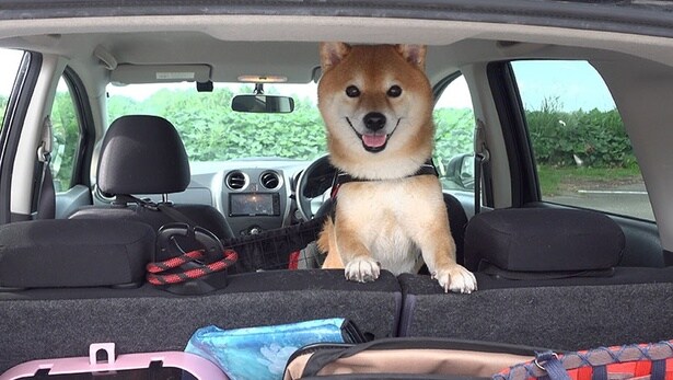 今日のお散歩場所に到着！