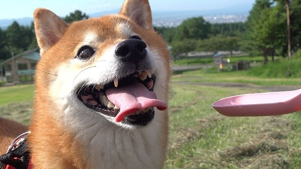 たくさん歩いたあとは水分補給も忘れずに！