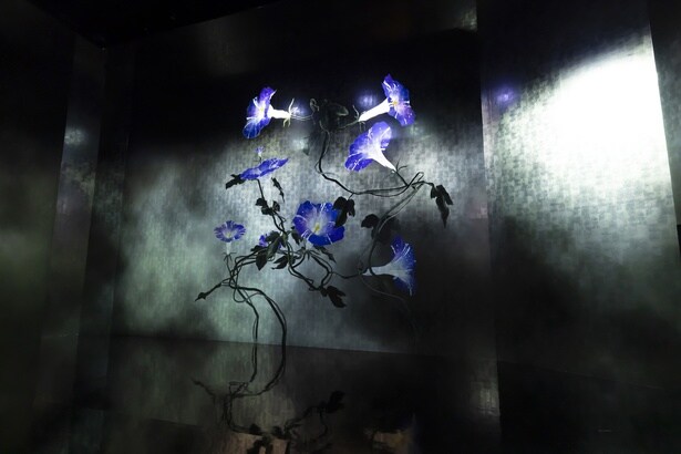 ミュージアム内の随所に作品が展示されているので、常にアートを体験できる