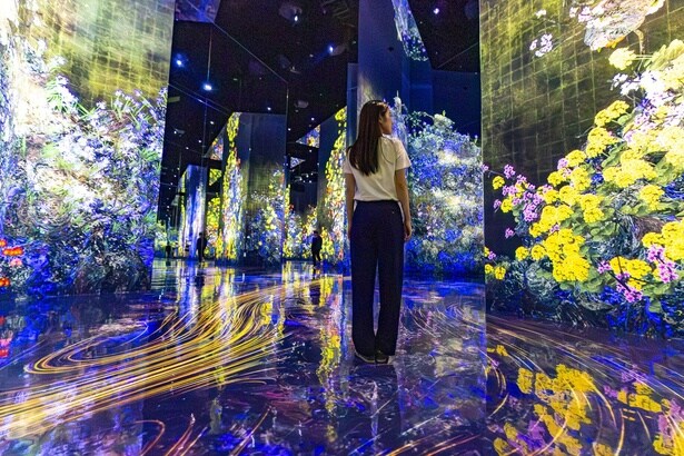 京都駅から徒歩圏内に「チームラボ バイオヴォルテックス 京都」がオープン！