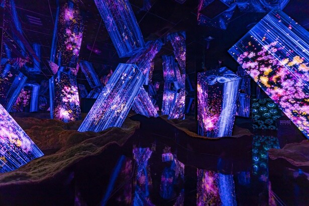 「開いた宇宙の永遠の存在の中のメガリス / Megaliths in the Eternal Existence of the Open Universe」。苔に交ざってほかの植物も植わっており、年々その姿を変えていくという