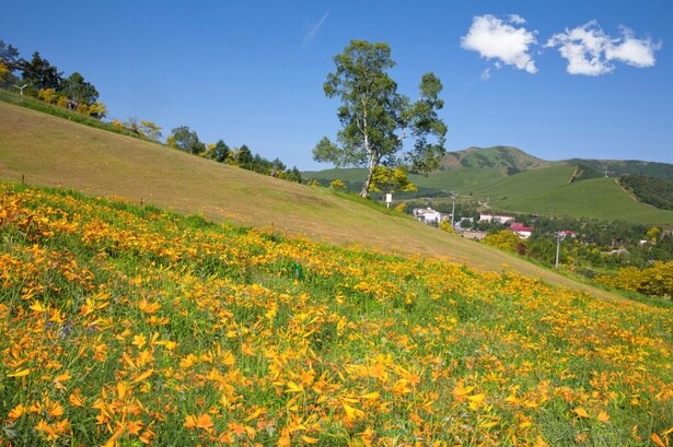 白樺リゾートレイクサイドガーデン(白樺リゾート)