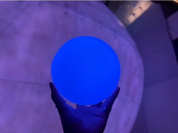 オランダパビリオン。いたるところにミッフィーがいてキュートなだけでなく、光る球を持って学ぶ展示も楽しい