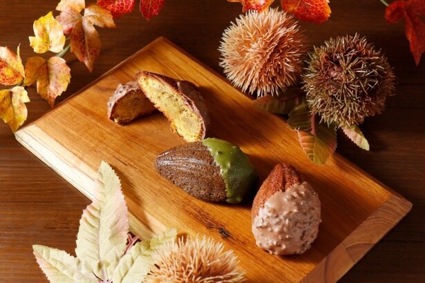 ケークマロン(マロン/抹茶)