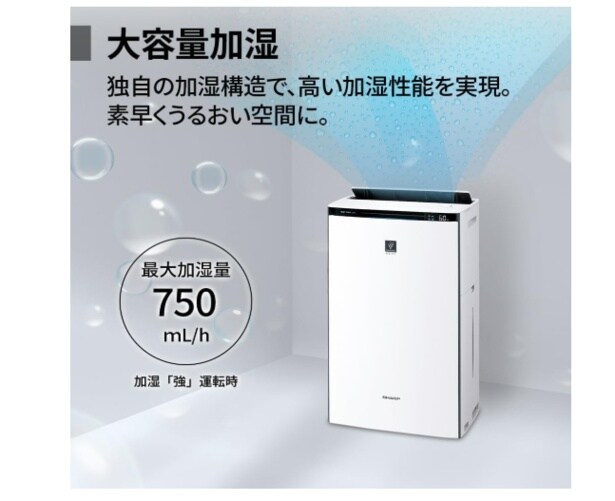 スクリーンショット 2025-09-15 142542