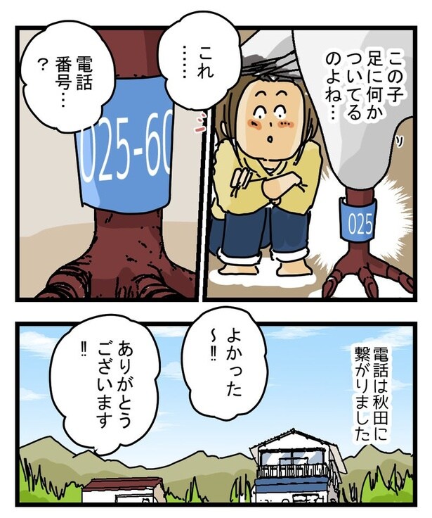 鳩ときりたんぽ(後編)2