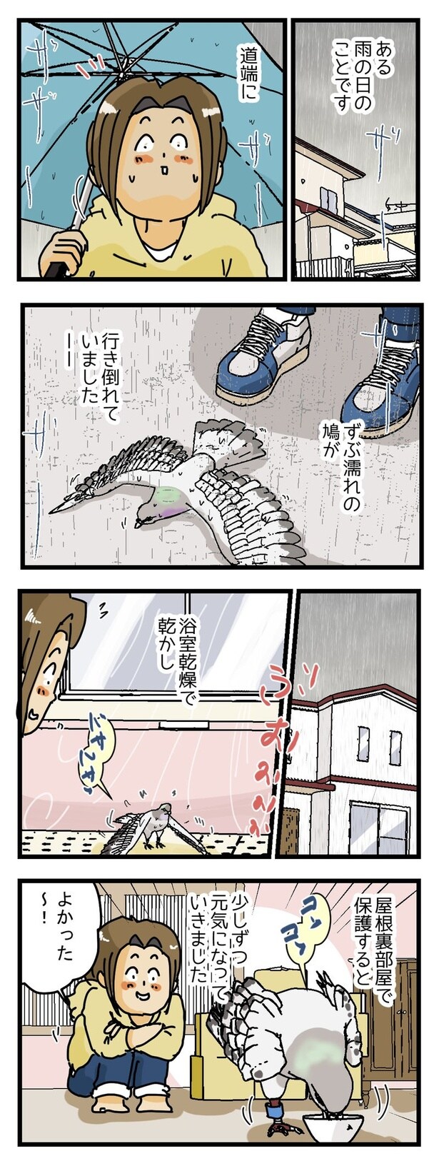 鳩ときりたんぽ(前編)1