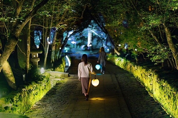 【写真】ライトアップ「秘道」「石幻道」