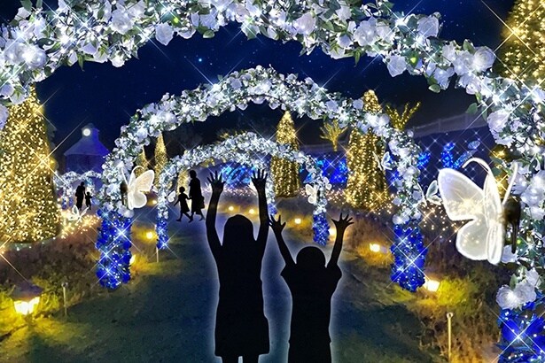 【画像】バラのアーチが続く「ローズフォレスト」